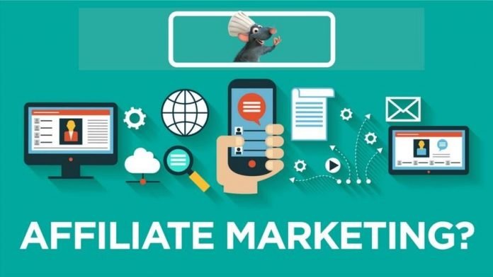 Digital Marketing Agency in Chandigarh